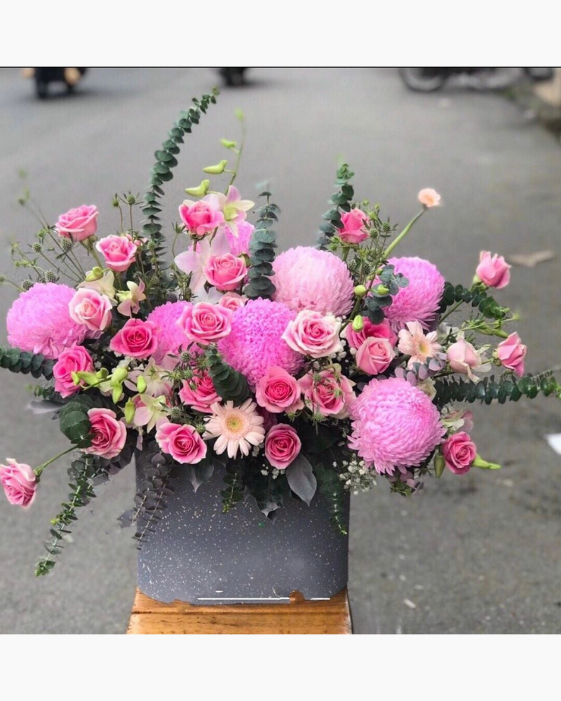  Tím Hồng Mộng Mơ - HH10 - Hoa 20/11 Chia Sẻ Tình Yêu Thương 