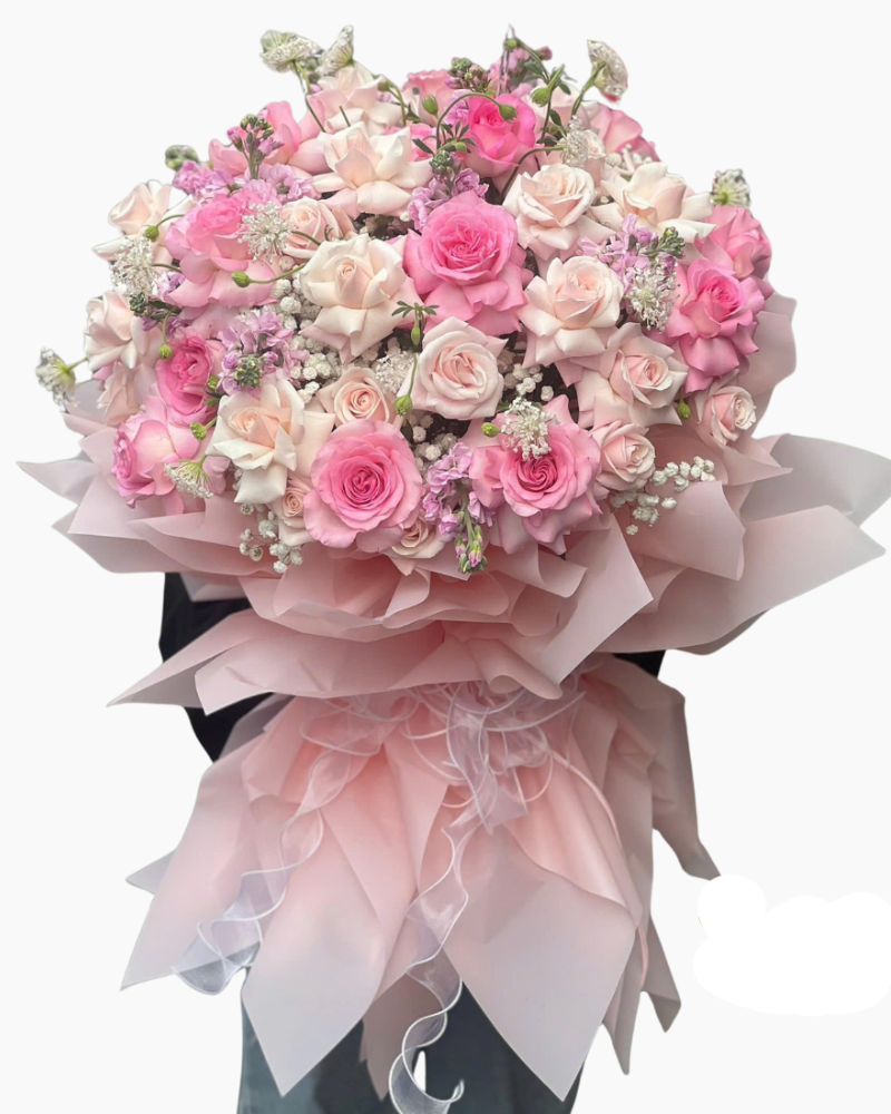  Tình Yêu To Lớn  - HBT95 