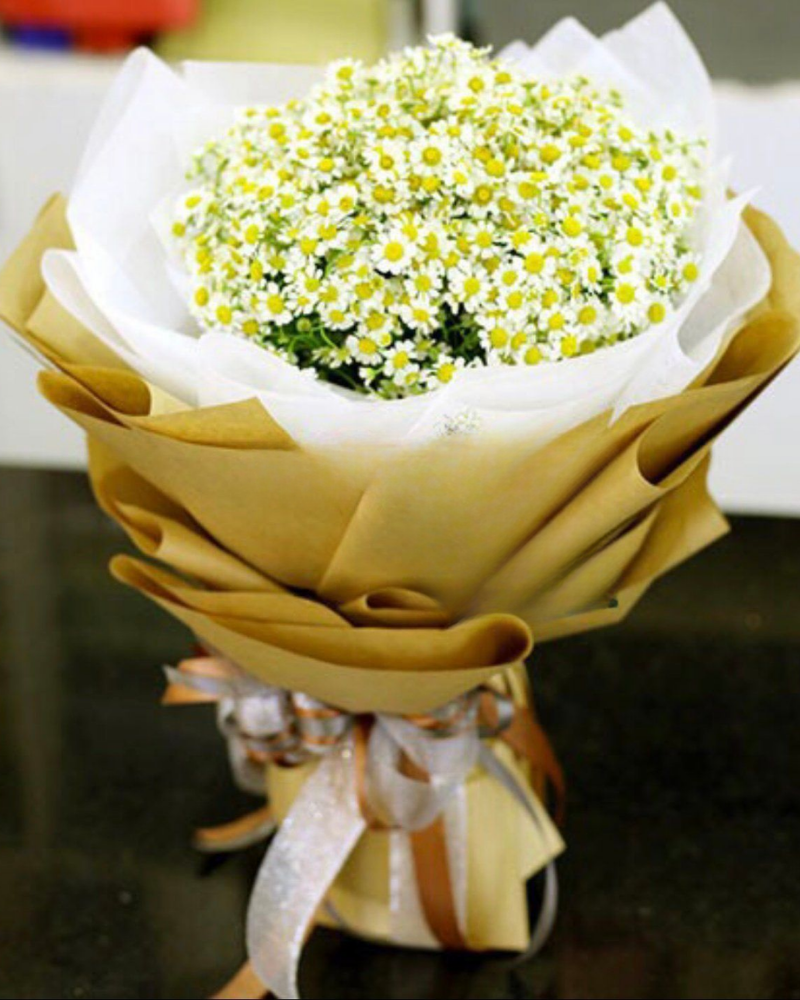  First Date - HBT35 - Hoa 20/10 