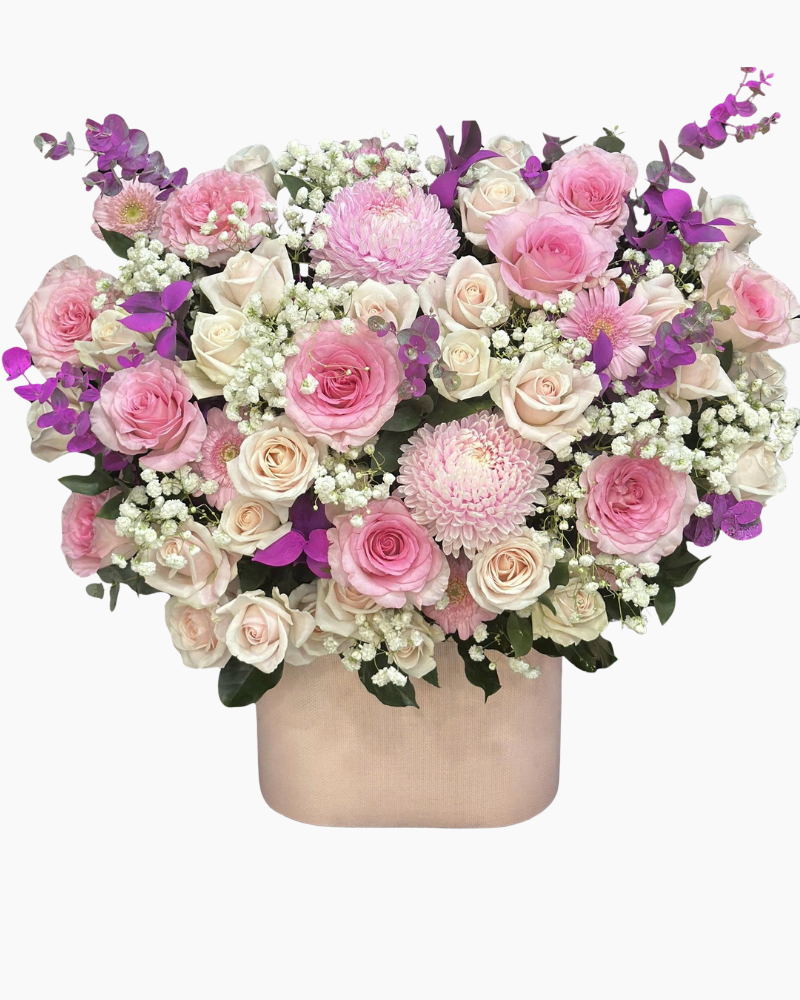  Hộp Hoa Hồng Dâu  - HH116 