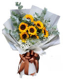  Nắng Mới - HBD206 