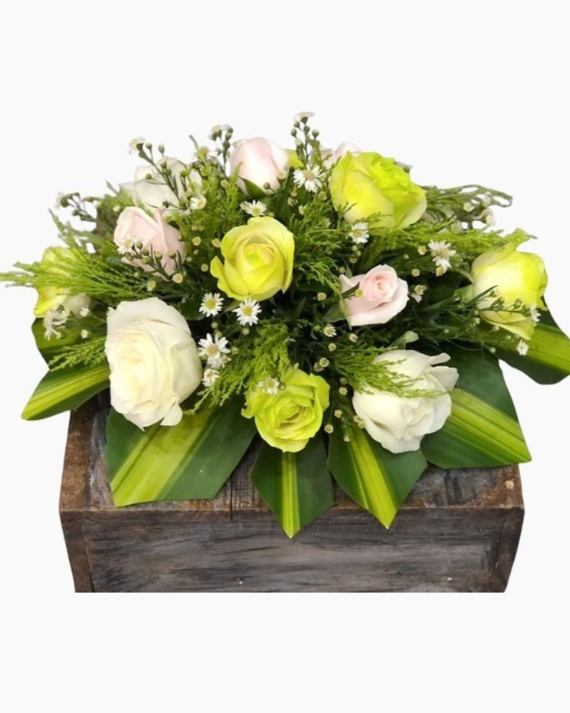  Hoa Để Bàn - Ovan 15 - Hoa Đẹp 20/11 