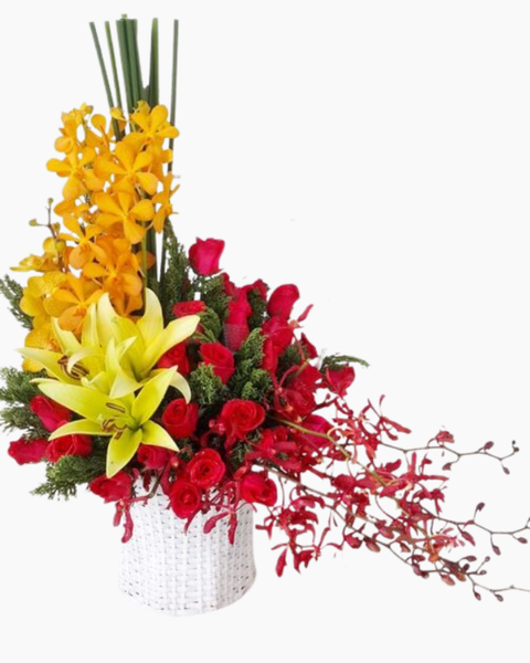 Giỏ Hoa Khai Trương để bàn đẹp: Sức Khỏe Dồi Dào - HG19