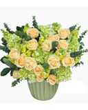  Hoa Hộp Hồng Cam-HH73 