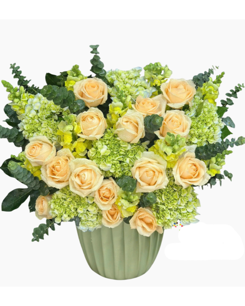  Hoa Hộp Hồng Cam-HH73 