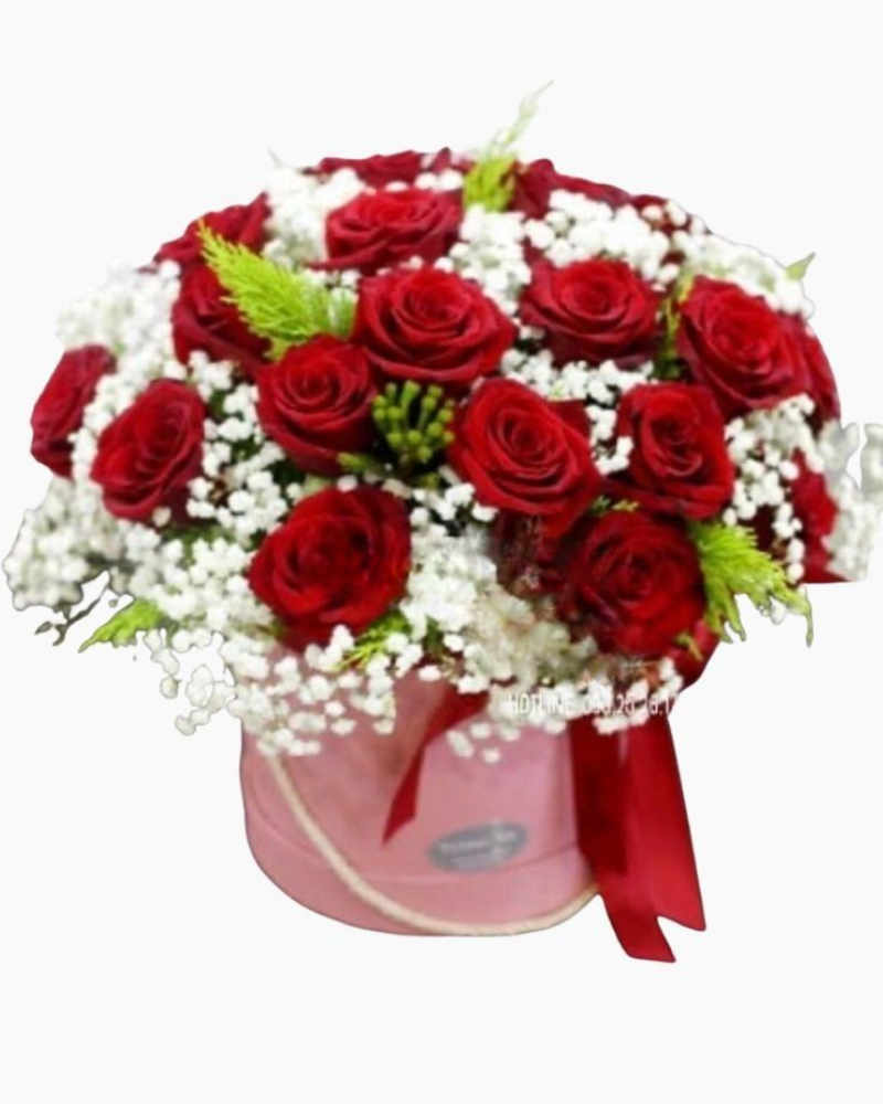  Hộp Hoa Hồng  Explor Đỏ Hà Lan  - HH22 