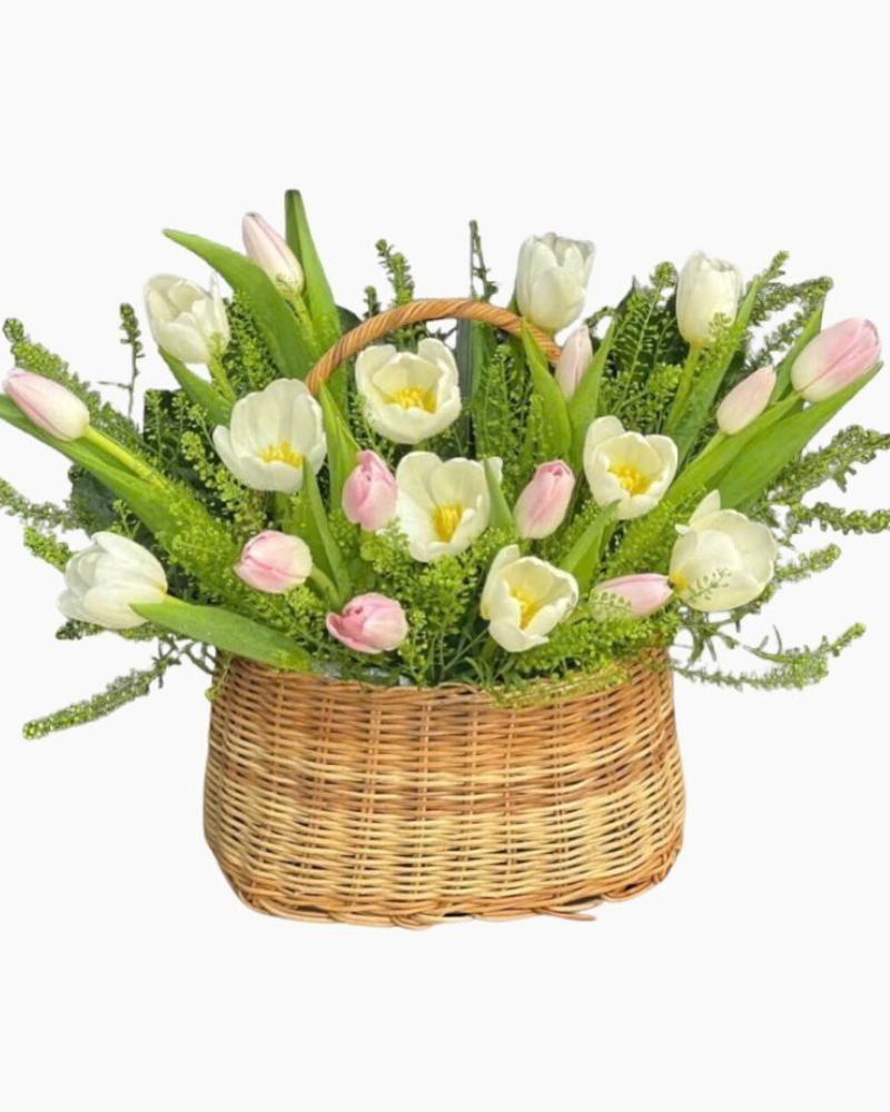  Giỏ Hoa Tươi Tulip Mix Màu - HG63 