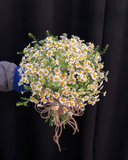  Hoa Cưới cầm tay cô dâu Cherish Day  HC30 