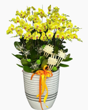  Lan An Gia Cát Tường  - LHĐ139 