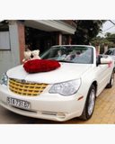  Trái Tim Tình Yêu - XH01 - Hoa Tươi 