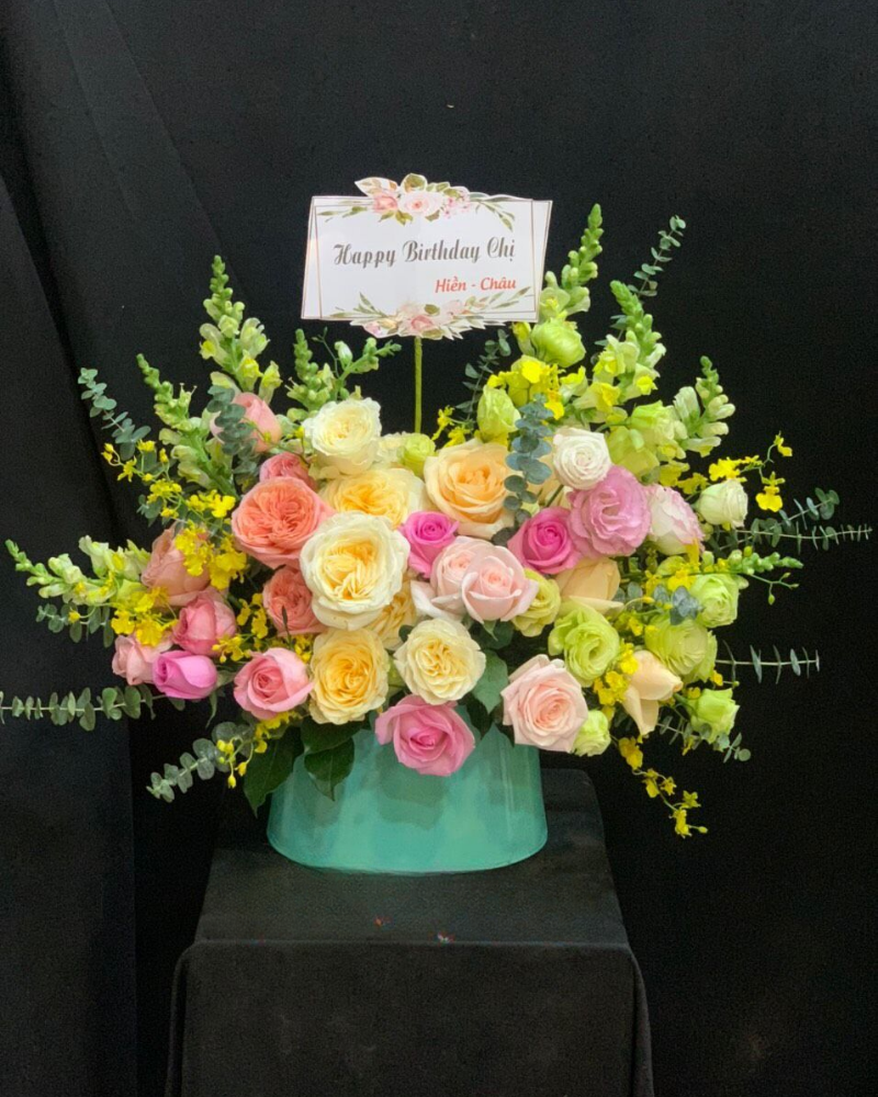  Cream & Wicky - HH09 