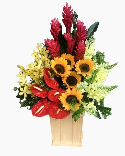 Hoa Tặng Thầy Cô Mừng Ngày Nhà Giáo Việt Nam 20/11: Bay Cao - HCH15 - Hoa 20/11 Đẹp Tặng Thầy Cô Giáo