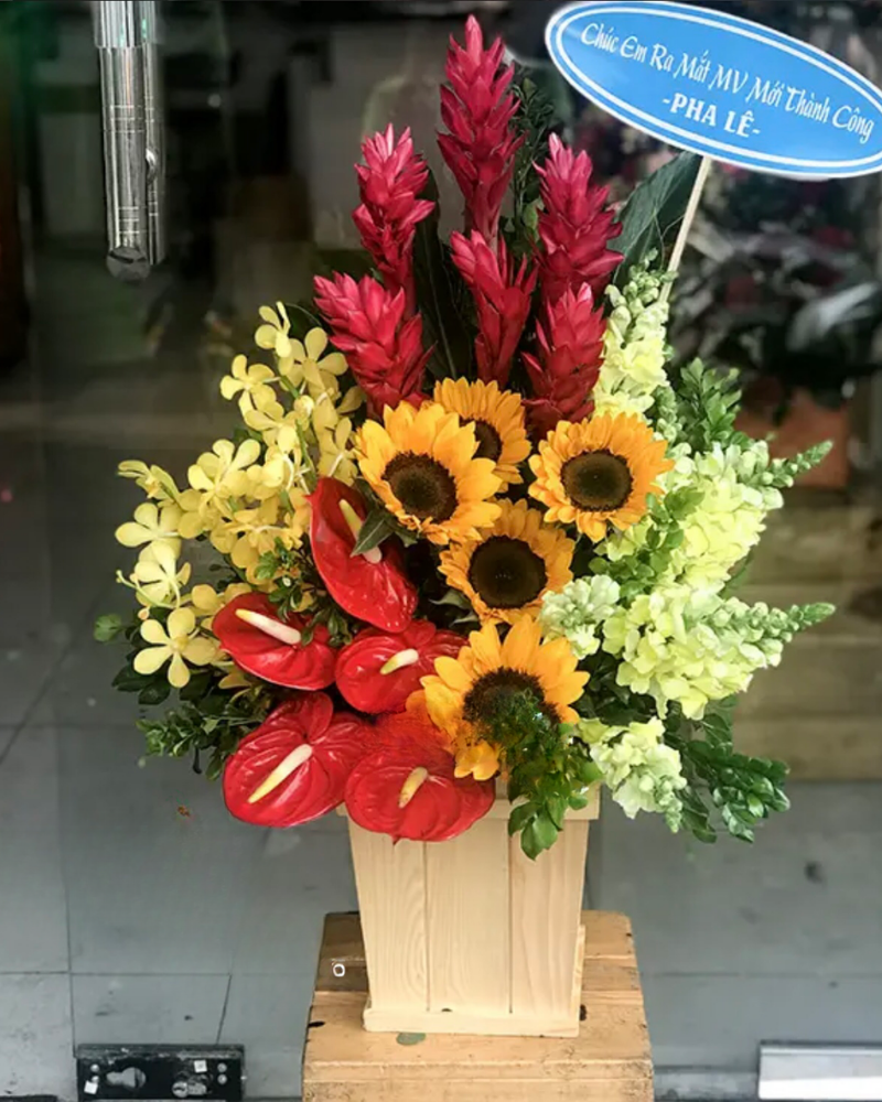  Bay Cao - HCH15 - Hoa 20/11 Đẹp Tặng Thầy Cô Giáo 