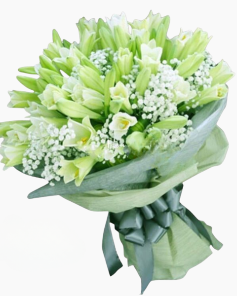 Mẫu Hoa Tươi Màu Trắng sang trọng, nhẹ nhàng, tinh khiết: Bó Hoa Tươi Loa Kèn Trắng - HBT80