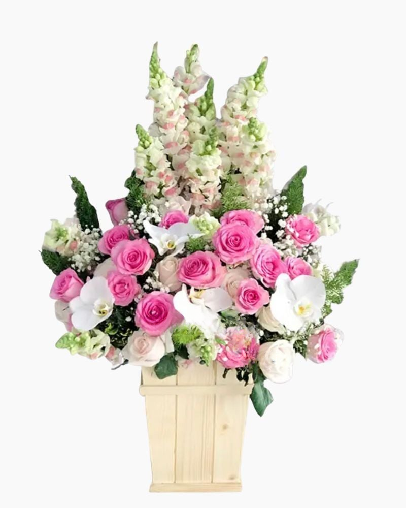  Mây Hồng - HCH12 - Hoa 20/10 