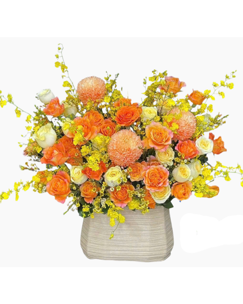  Hộp Hoa Cam Quốc Vương-HH73 