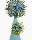  Kệ Hoa Khai Trương Dreamy Day  - HCM65 