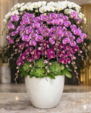  Lan Tài Lộc Khai Hoa  - LHĐ140 