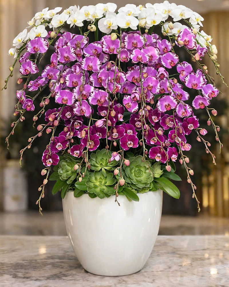  Lan Tài Lộc Khai Hoa  - LHĐ140 