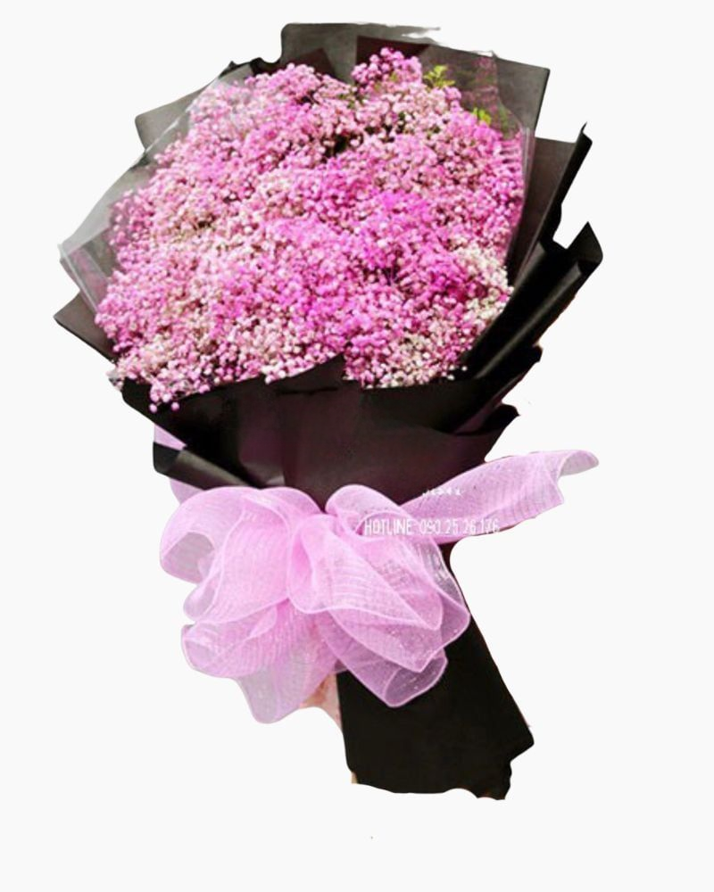  Pink Baby - HBD24 - Hoa 8/3 