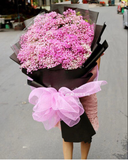  Pink Baby - HBD24 - Hoa 8/3 