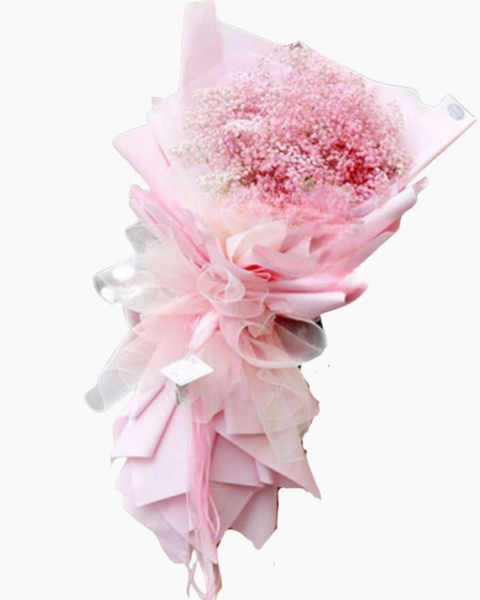 Hoa Hồng: Baby Hồng - HBD23 - Hoa 8/3