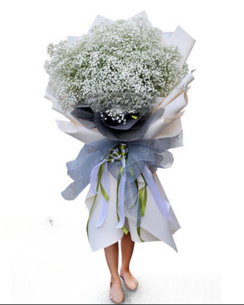  Baby Big Size - HBD18 - Hoa 8/3 