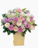  Sắc Hồng Xinh - HCH06 