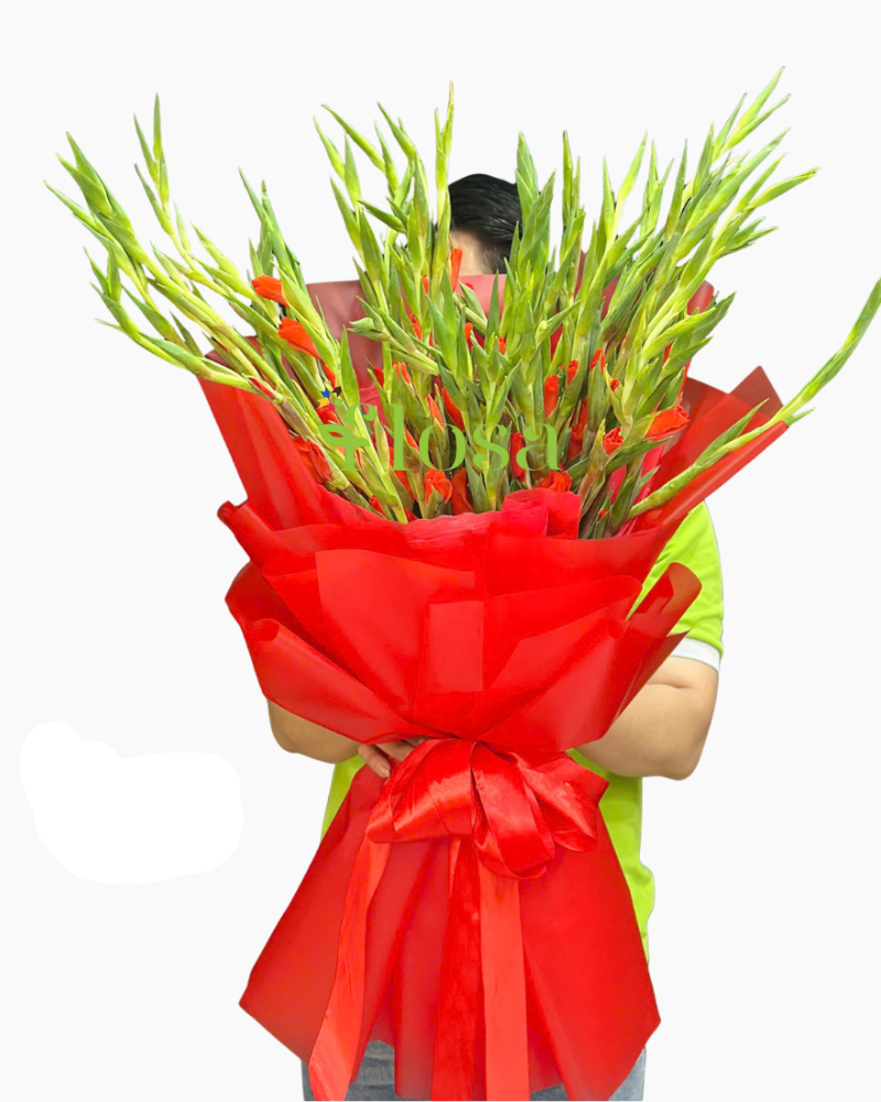  Bó Hoa Dên Đỏ- HBD323 