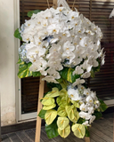  Condolences - HTL03 - Vòng Hoa Tang Lễ 