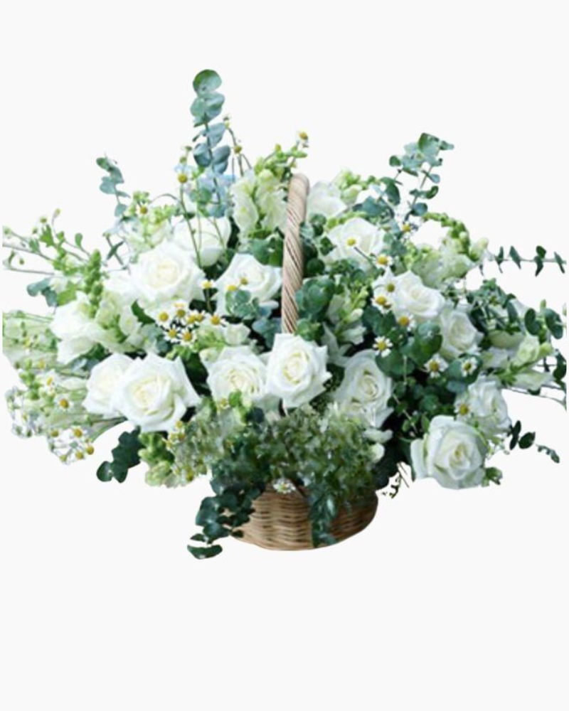  Tinh Khôi - HG47 - Hoa 20/11  Ý Nghĩa Ngày Nhà Giáo Việt Nam 