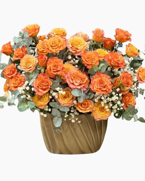 Hoa tặng người yêu đẹp nhất, bó hoa tặng bạn gái lãng mạn ý nghĩa: Hộp Hoa Hồng Cam Lady - HH06