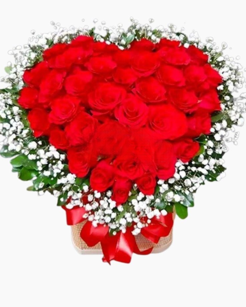  Sincere Heart - HG56 