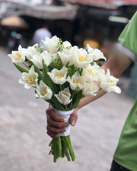 Hoa Tulip bộ sưu tập hoa tulip đẹp, sang trọng, tinh tế: Bó Hoa Cưới Cầm Tay Tulip Trắng - HC29