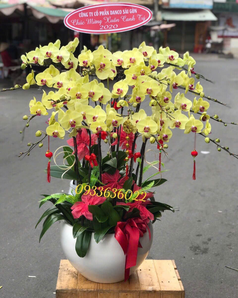 Lan Xuân Vượng - LHĐ158