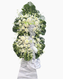  Khúc Nhạc Buồn - HTL163 