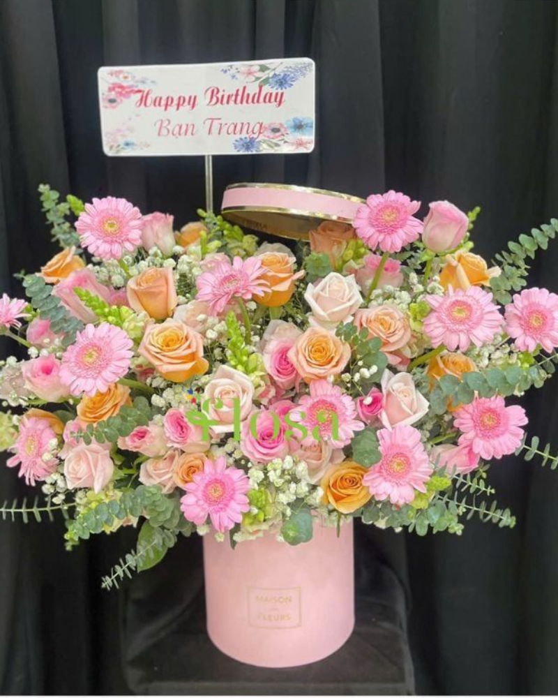  Hoa Hộp Bình Minh Hồng - HH72 