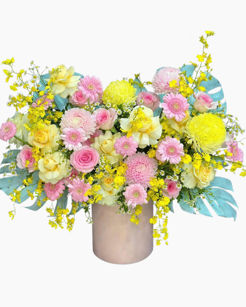  Hộp Hoa Sắc Màu  - HH114 