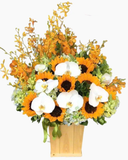  Hộp Hoa Good Vibes - HCH108 