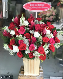  Hộp Hoa Strong Belief - HCH100 