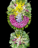  Từ Biệt - HTL70 - Vòng Hoa Đám Tang 