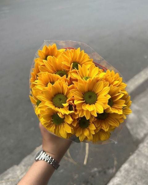 Mẫu Hoa Cúc: Hoa Cúc Mai - HCC06