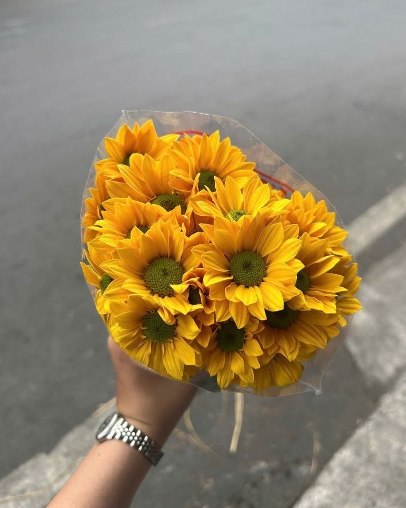  Hoa Cúc Mai - HCC06 