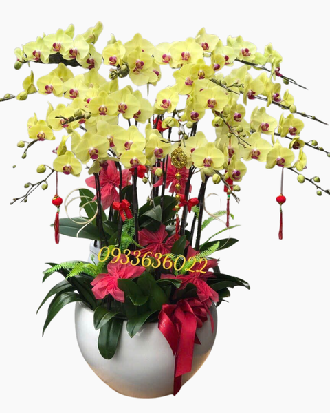 Lan Xuân Vượng - LHĐ158