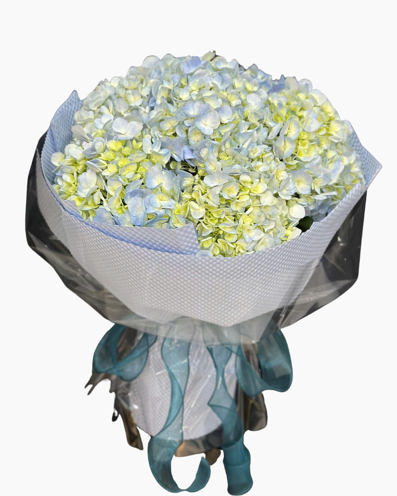  Bó Hoa Giọt Tím Trong Tim - 20/10 - HBT87 