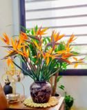  Hoa Thiên Điểu - Hoa Tươi Cắt Cành 