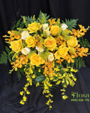  Ánh Sáng Phát Tài - BPB19 