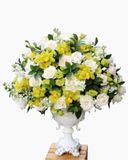  Bình Hoa An Nhiên - HCB46 - Hoa Trưng Tết 