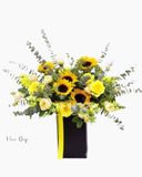  Ánh Dương- HH44 - Hoa 20/10 