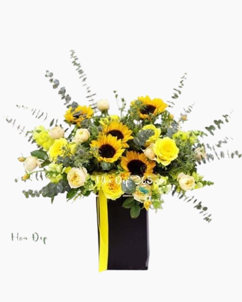  Ánh Dương- HH44 - Hoa 20/10 